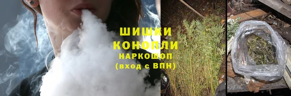 дмт Богородск