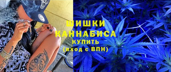 дмт Богородск