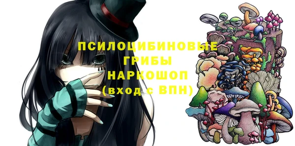 дмт Богородск