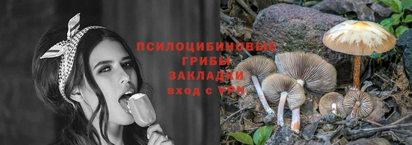 кокаин перу Богданович