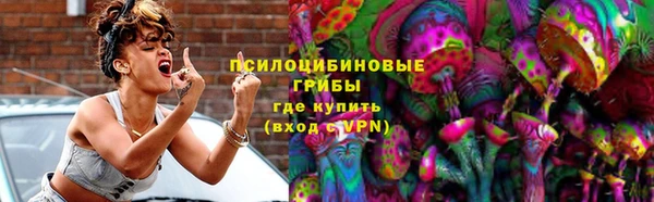 экстази Богородицк