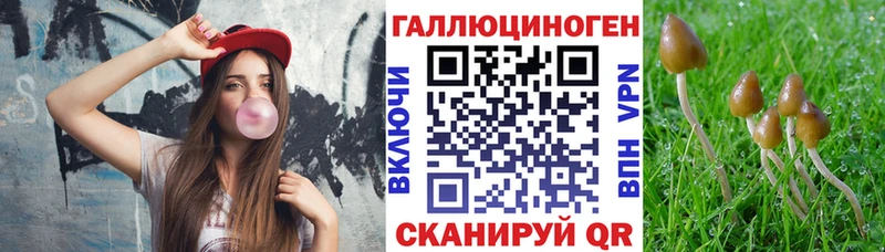 Купить закладки  Нарьян-Мар  Галлюциногенные грибы Cubensis 